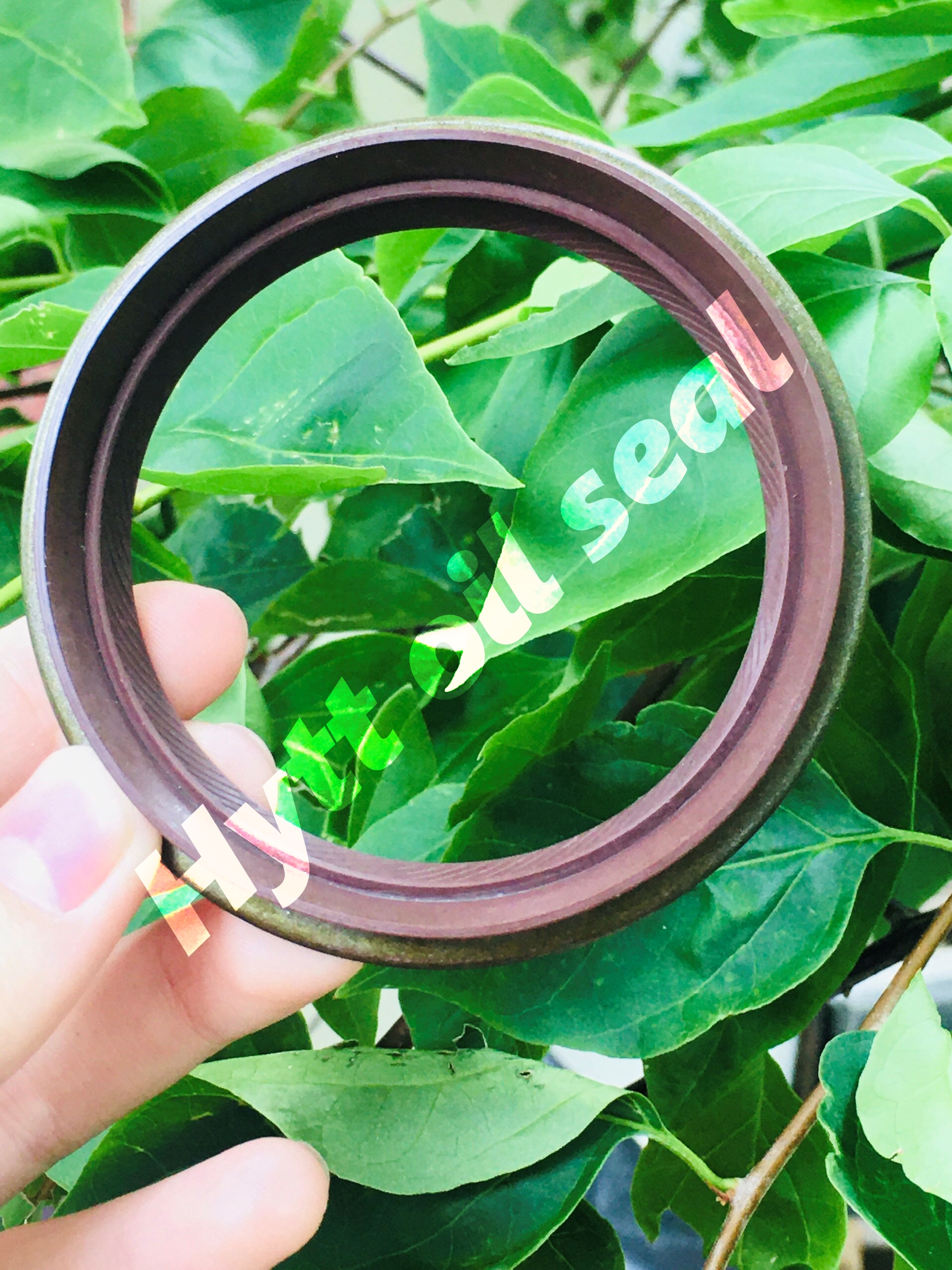 PHỐT XE HƠI TB 60*75*9/15