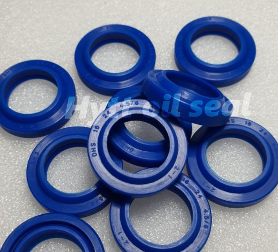 Phốt bụi DHS và DKB.